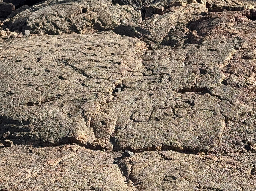 Waikoloa Petroglyph Preserve-威可洛亚必去景点