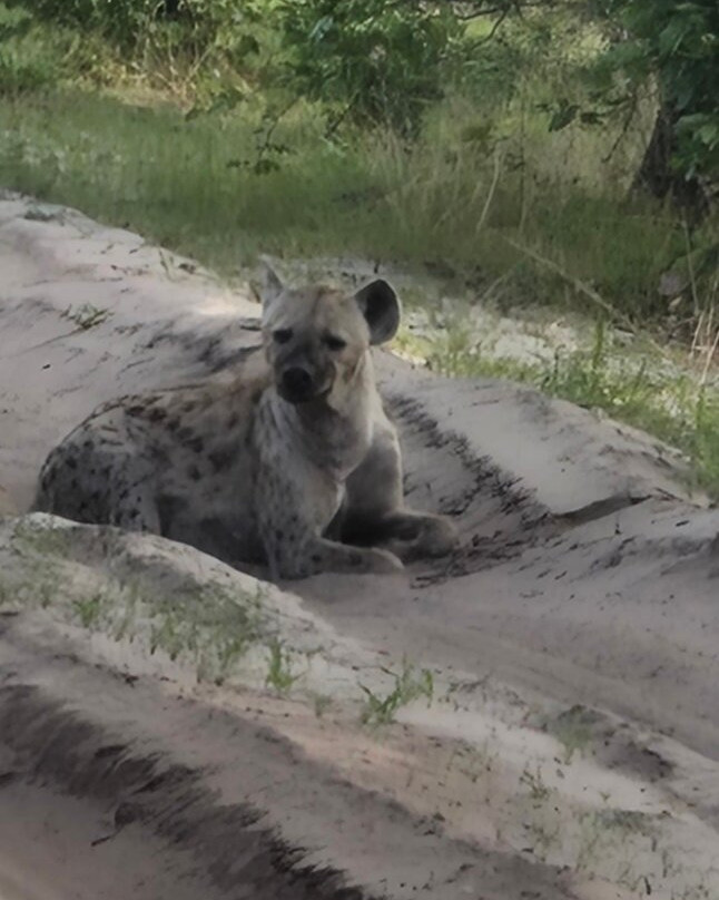 Khwai Guest House主图