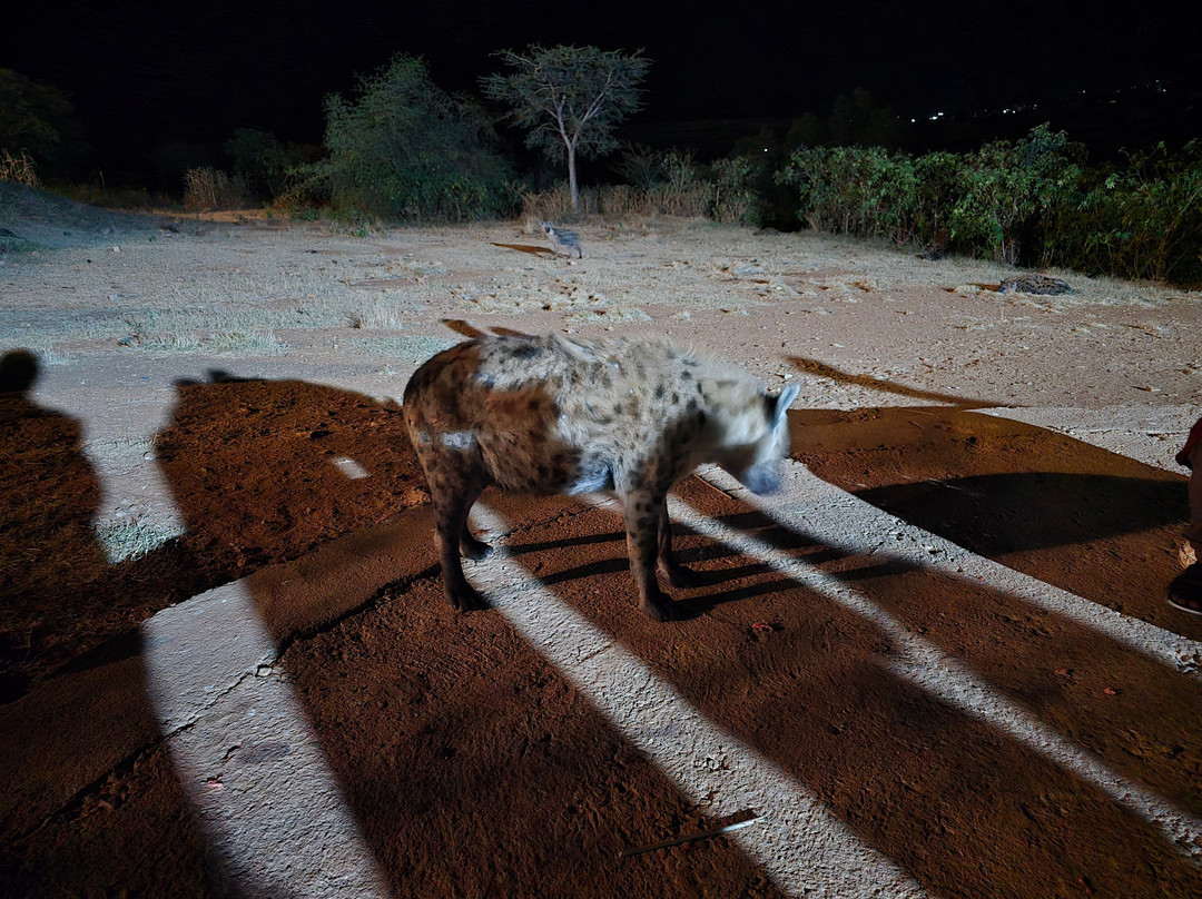 Emaj Harar Tours-哈勒尔必去景点