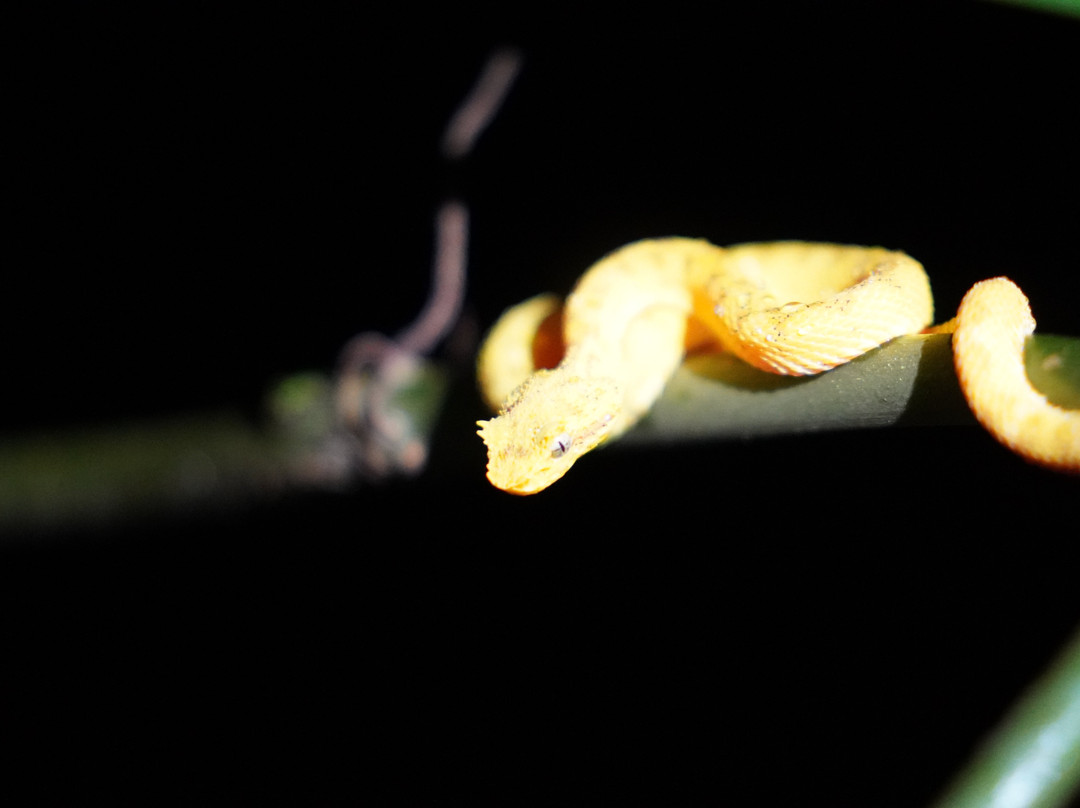 Tarantulas Way-卡维塔必去景点