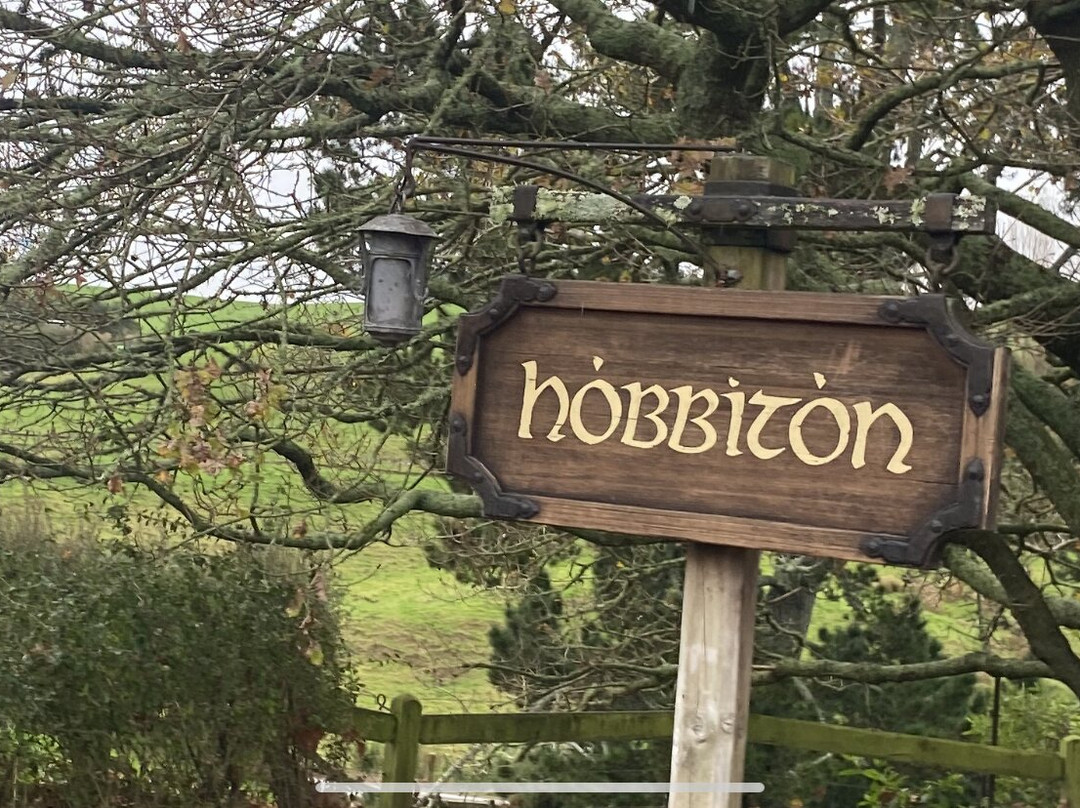 Red Carpet Tours-奥克兰中心地区必去景点