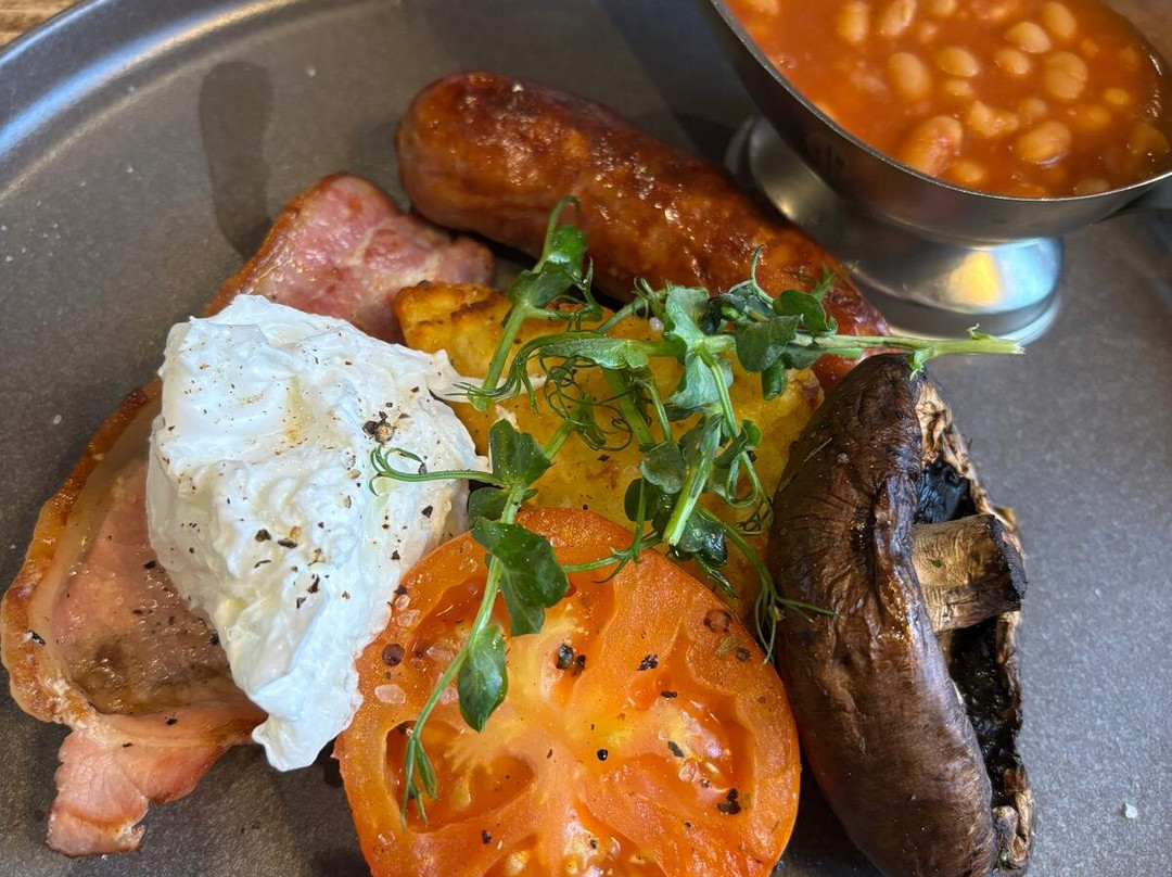 The Curious Fox主图