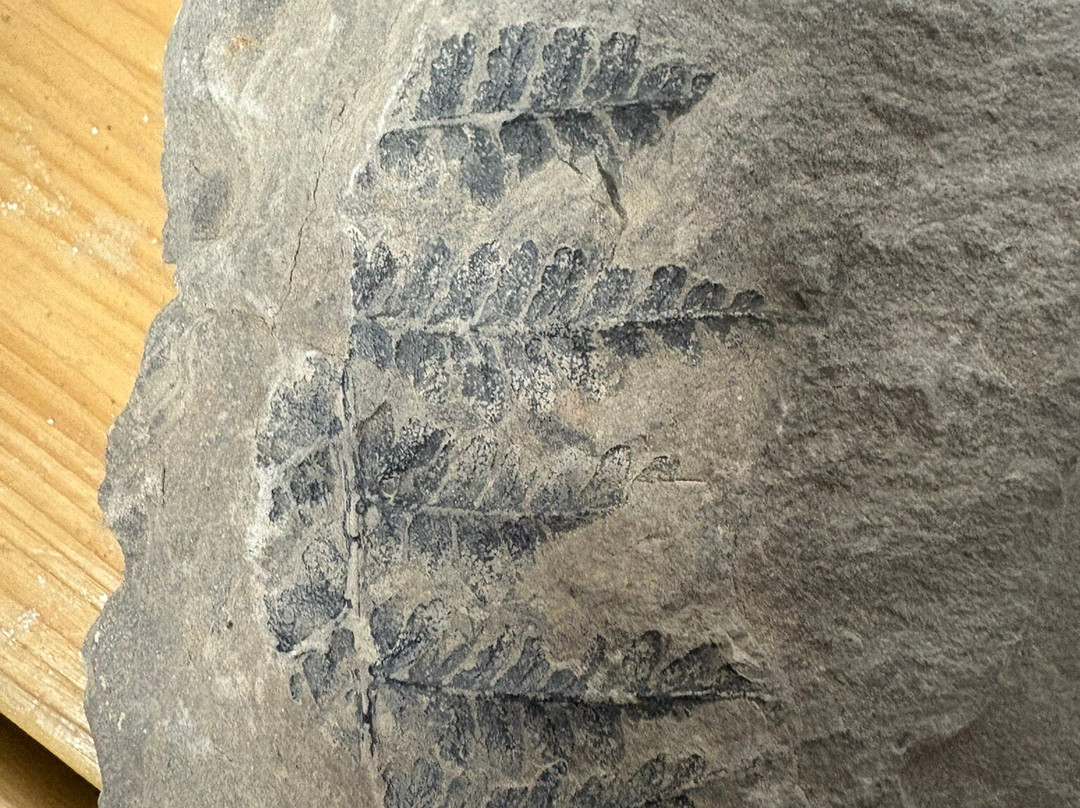 Stori Brymbo-雷克瑟姆必去景点