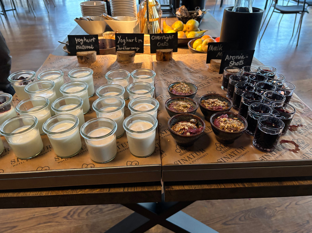 费德瑞克斯达尔斯纳图酒店主图