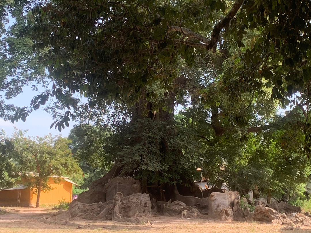 Casamance Vtt-Oussouye必去景点