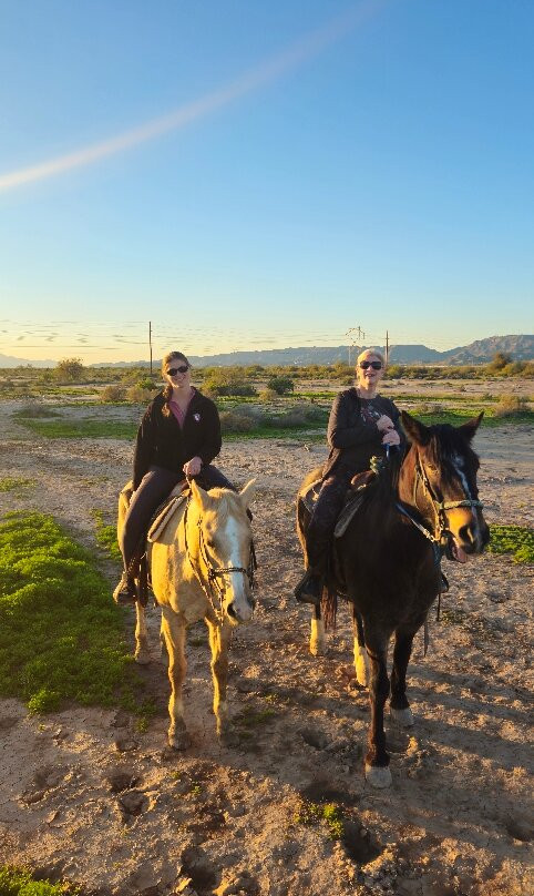 KOLI Equestrian Center-钱德勒必去景点
