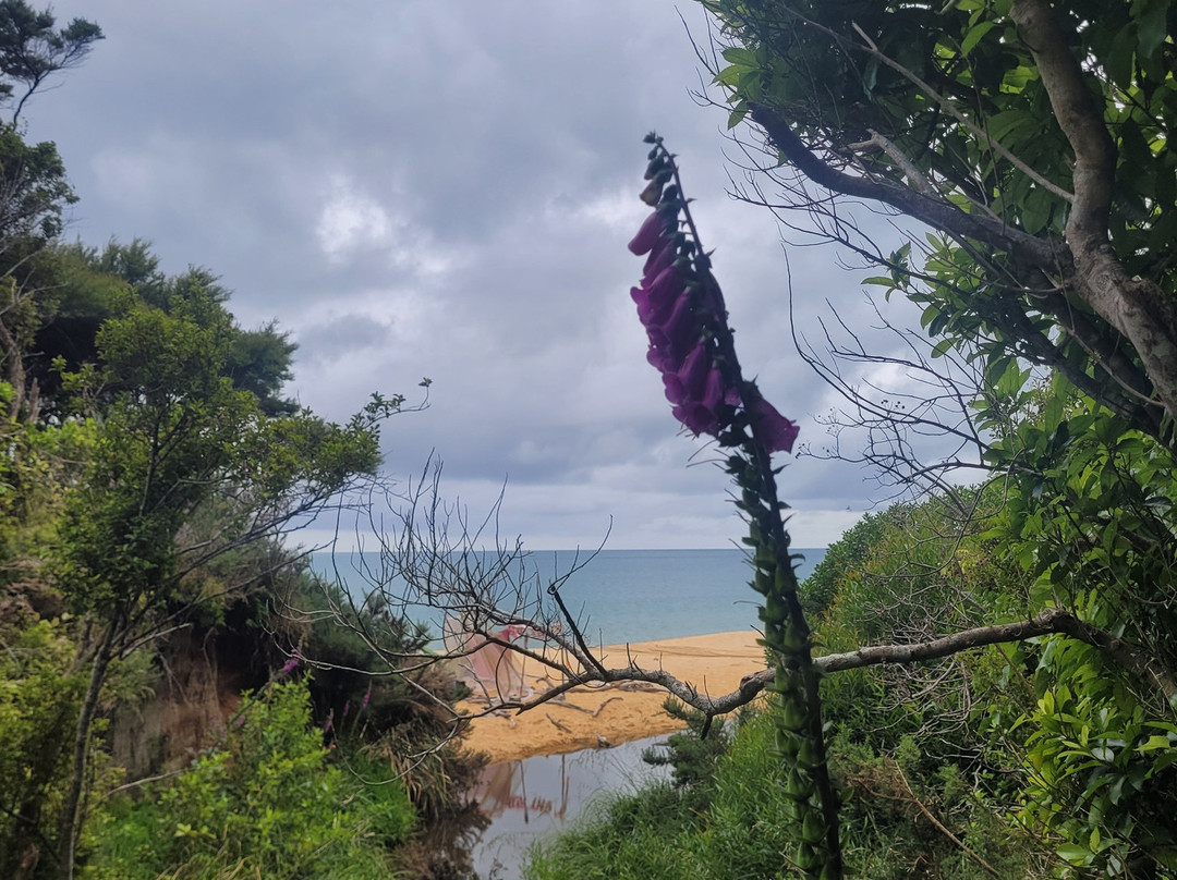 Abel Tasman Guides-玛拉豪必去景点