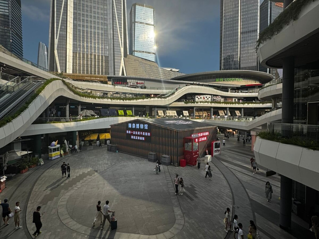 COCO PARK-深圳市必去景点