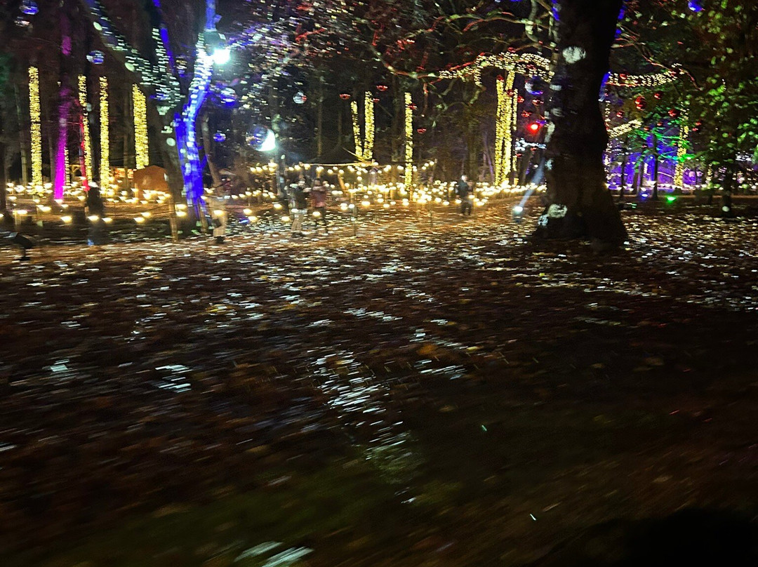 Audley End Miniature Railway-Saffron Walden必去景点