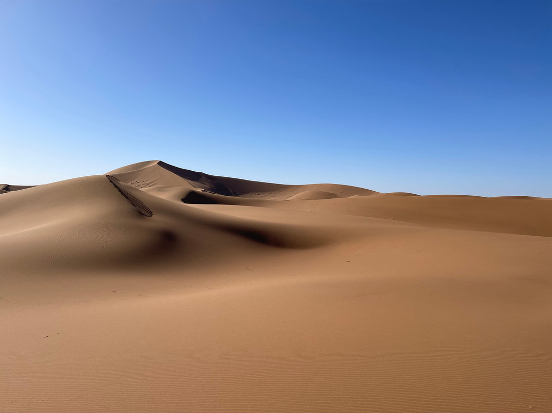 Adventures Desert-迈哈米德必去景点