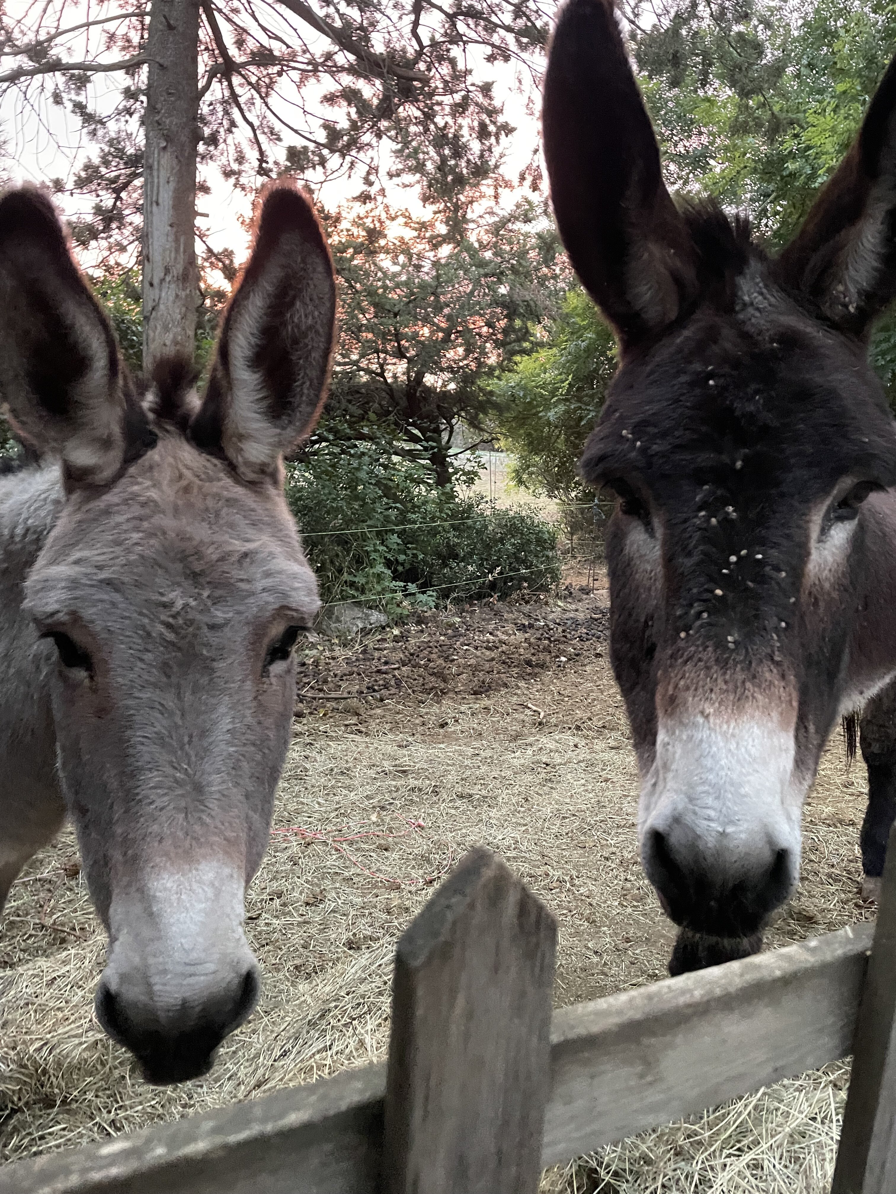 Mas de l'Ermitage-浴室