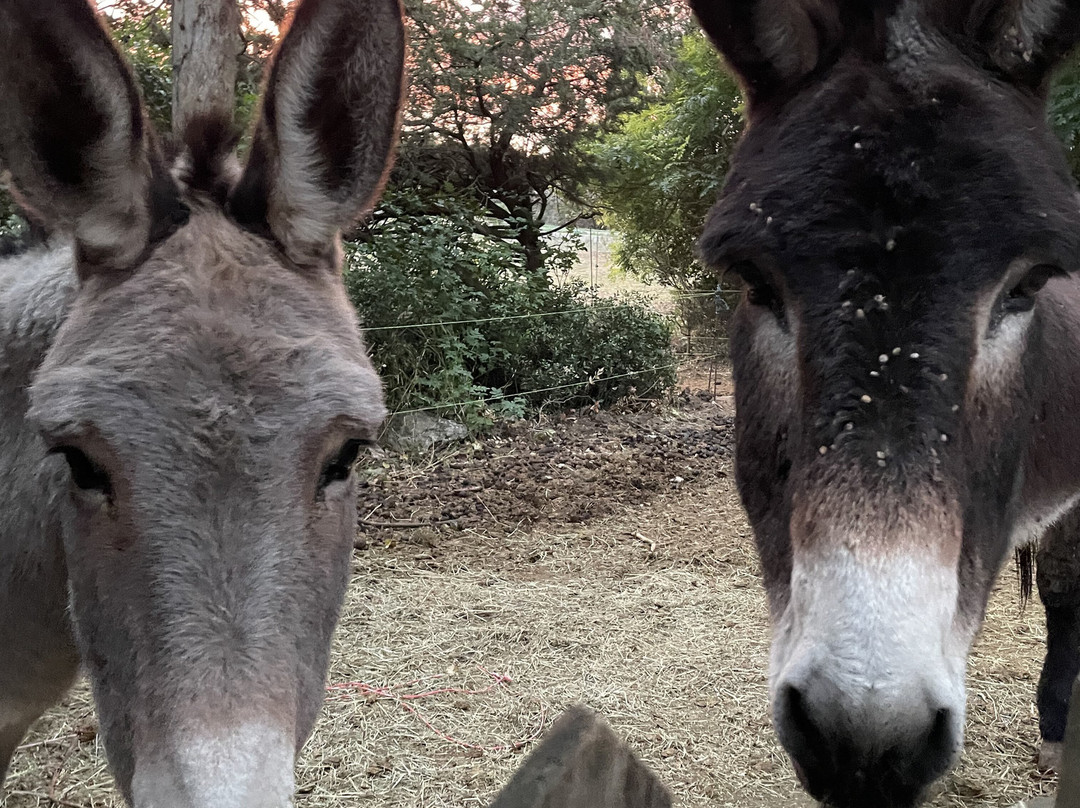 Mas de l'Ermitage主图