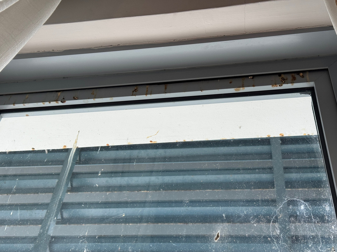 Trinidad Suites Puteri Harbour主图