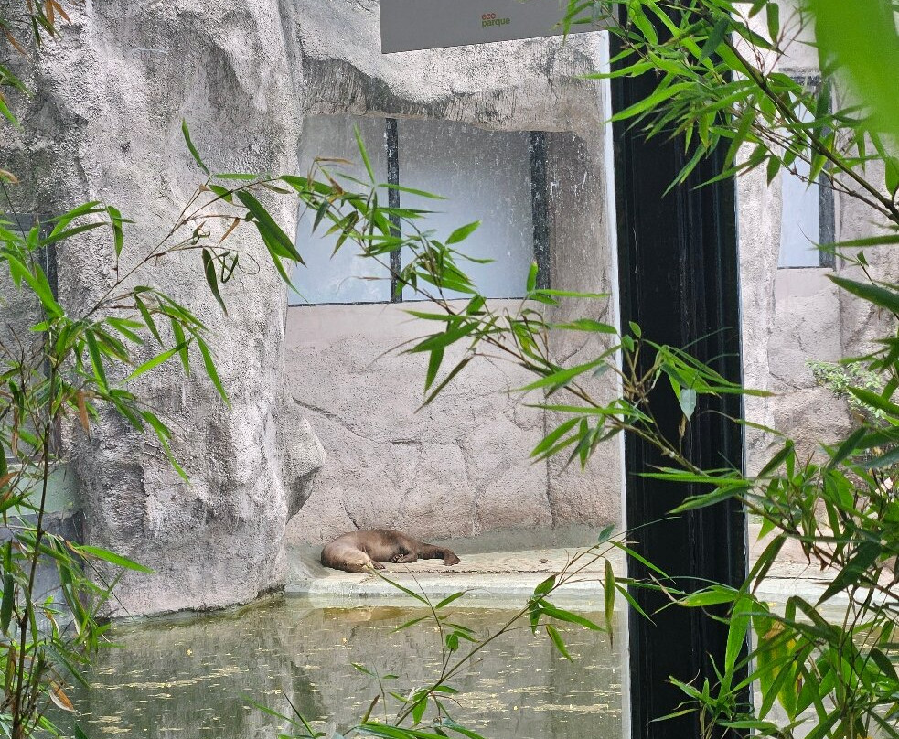 Eco Parque-布宜诺斯艾利斯必去景点