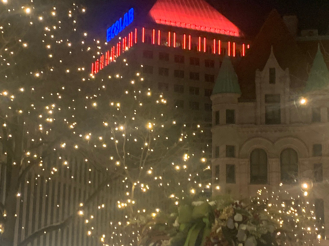 The Saint Paul Hotel主图