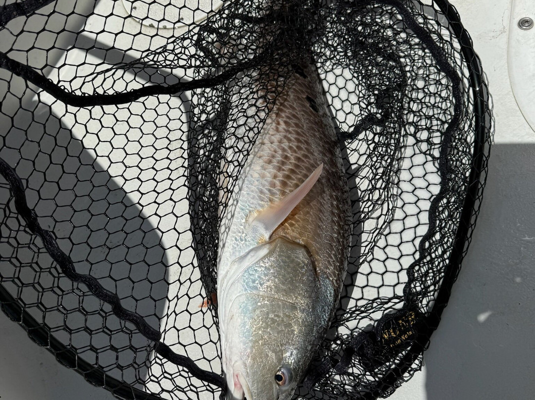 Tall Tide Fishing Adventures-查尔斯顿必去景点