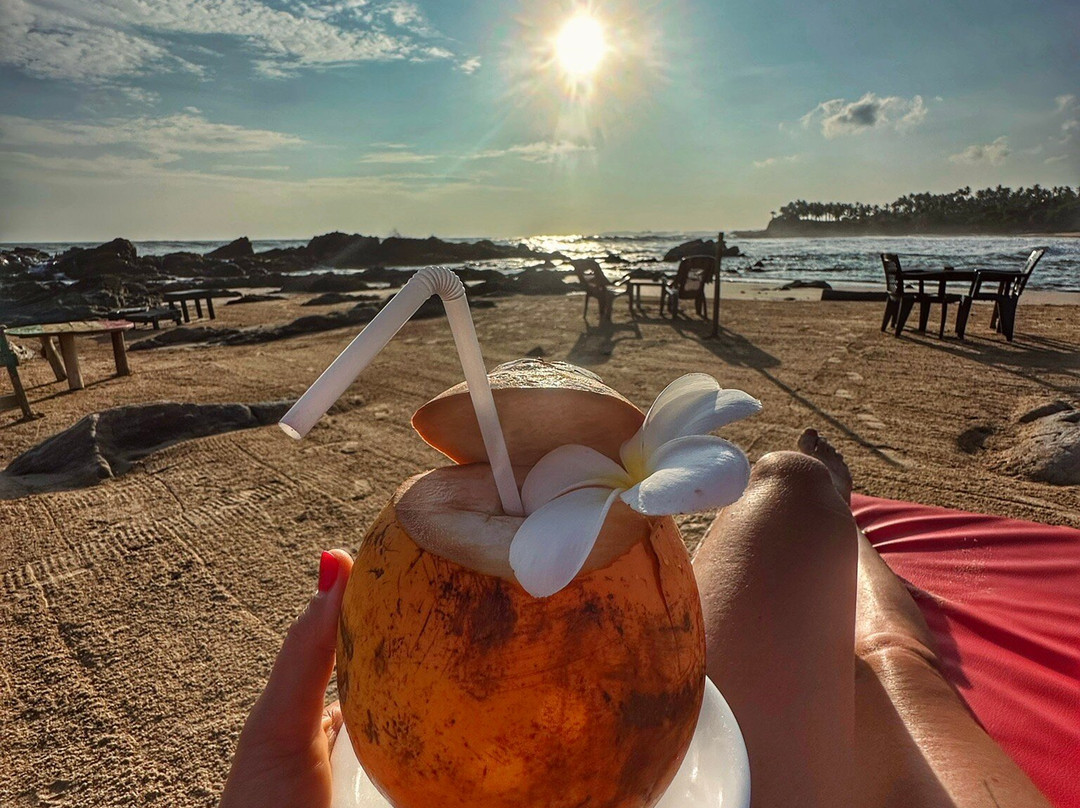 Moon Lanka Tours-希克杜沃必去景点