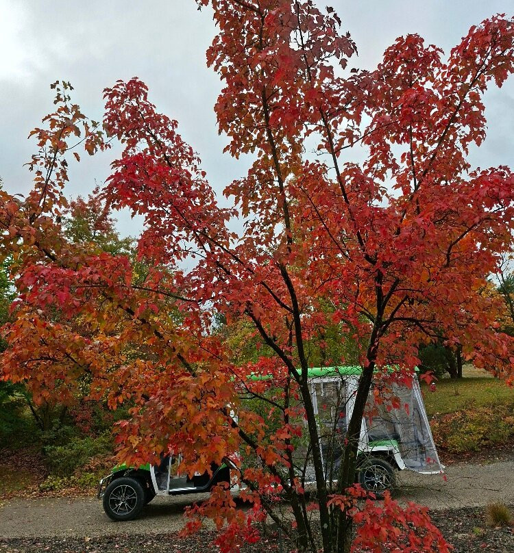 Lausitzer Findlingspark Nochten-Boxberg必去景点