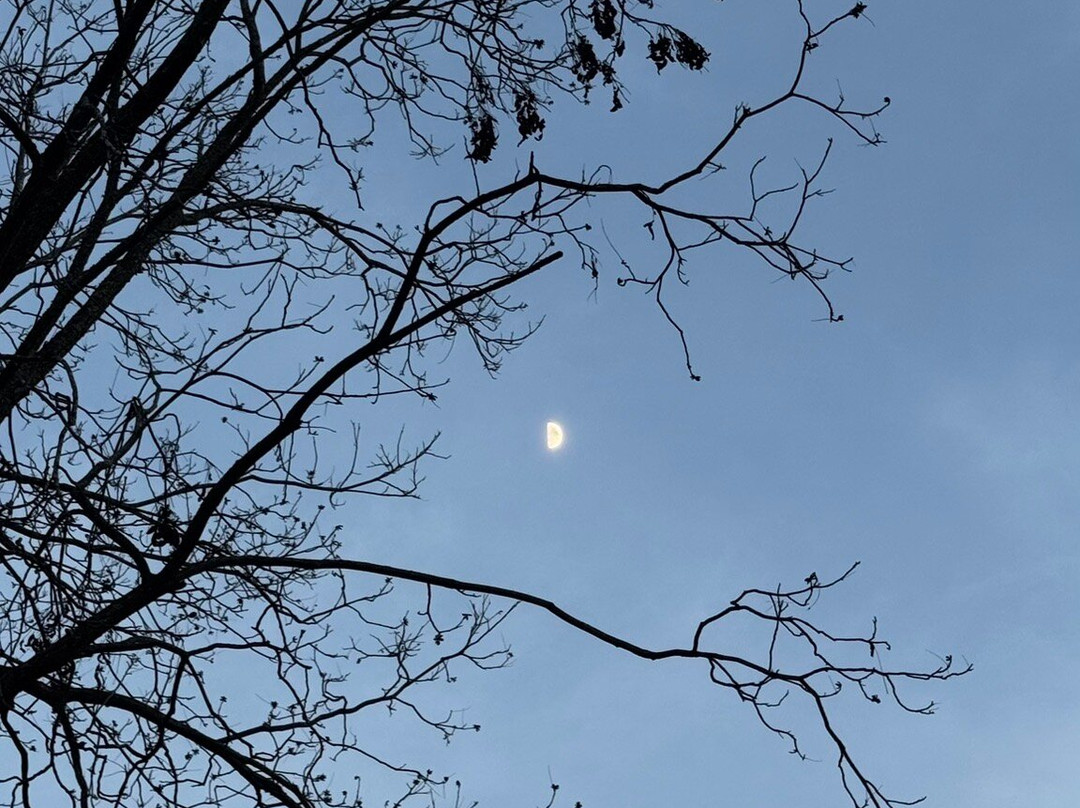 Lake Chicot State Park-Lake Village必去景点