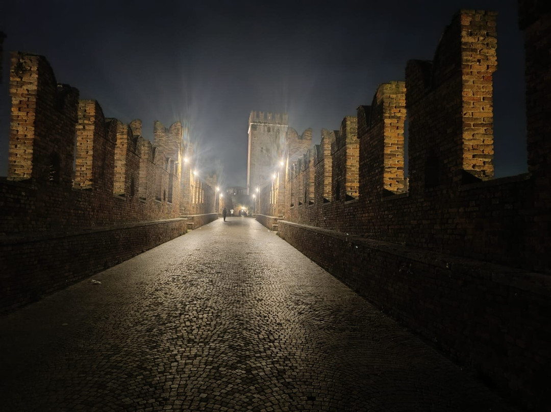 斯卡利杰罗桥-维罗纳必去景点