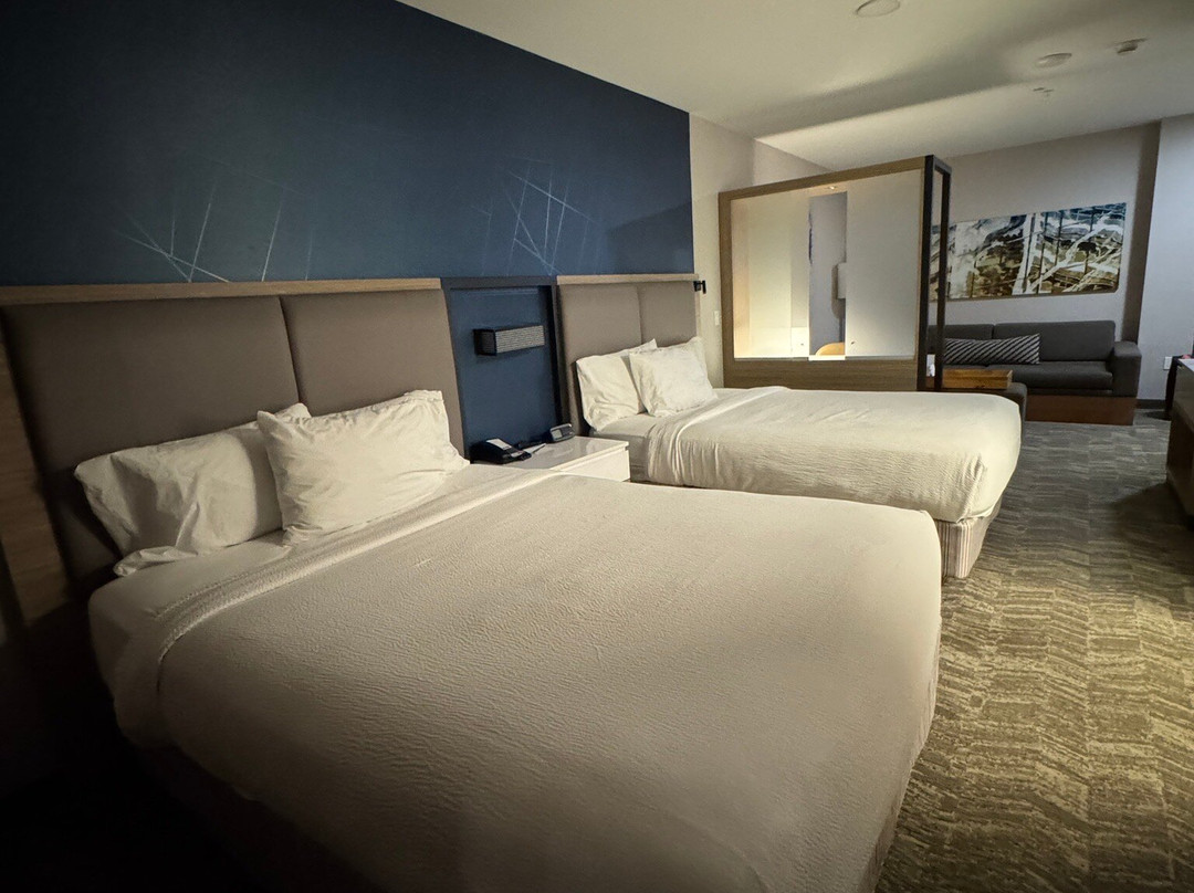 SpringHill Suites by Marriott Anaheim Placentia/Fullerton主图