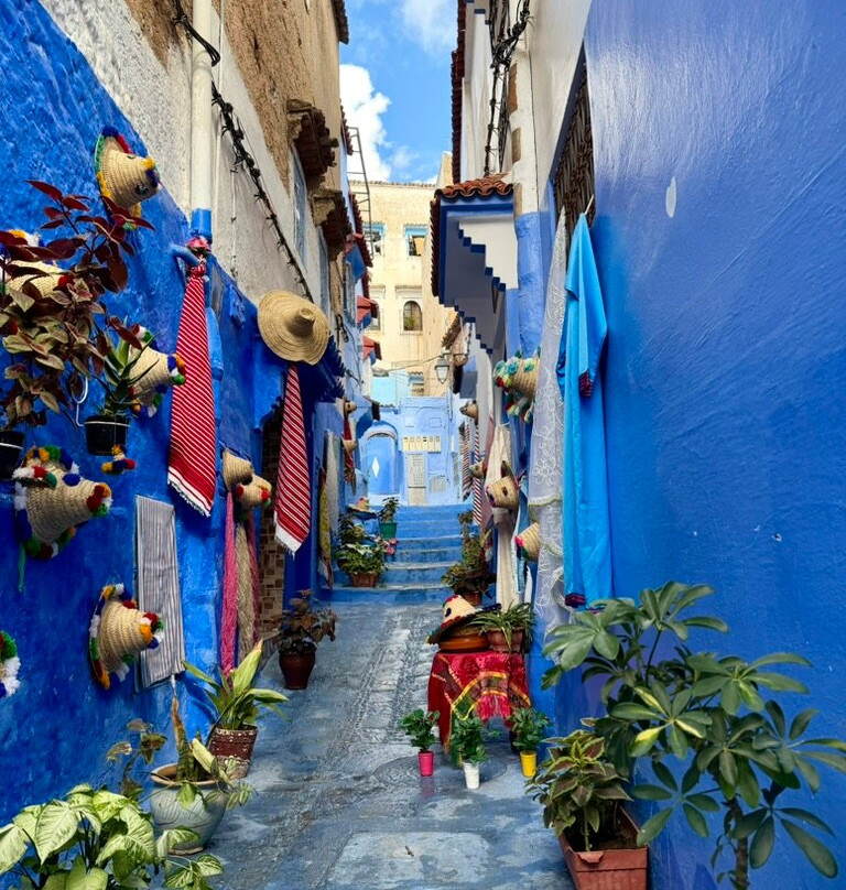 Journey Beyond Travel-Ifrane必去景点