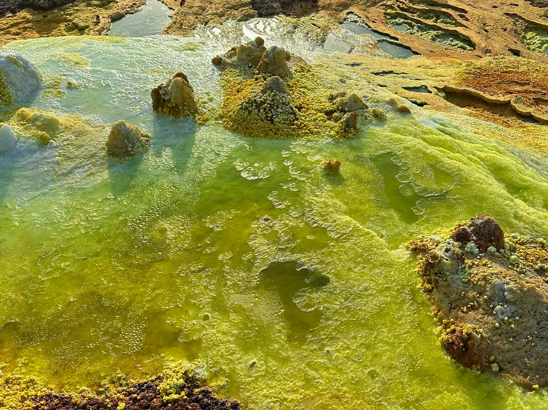 Lucy Ethiopia Tours-亚的斯亚贝巴必去景点