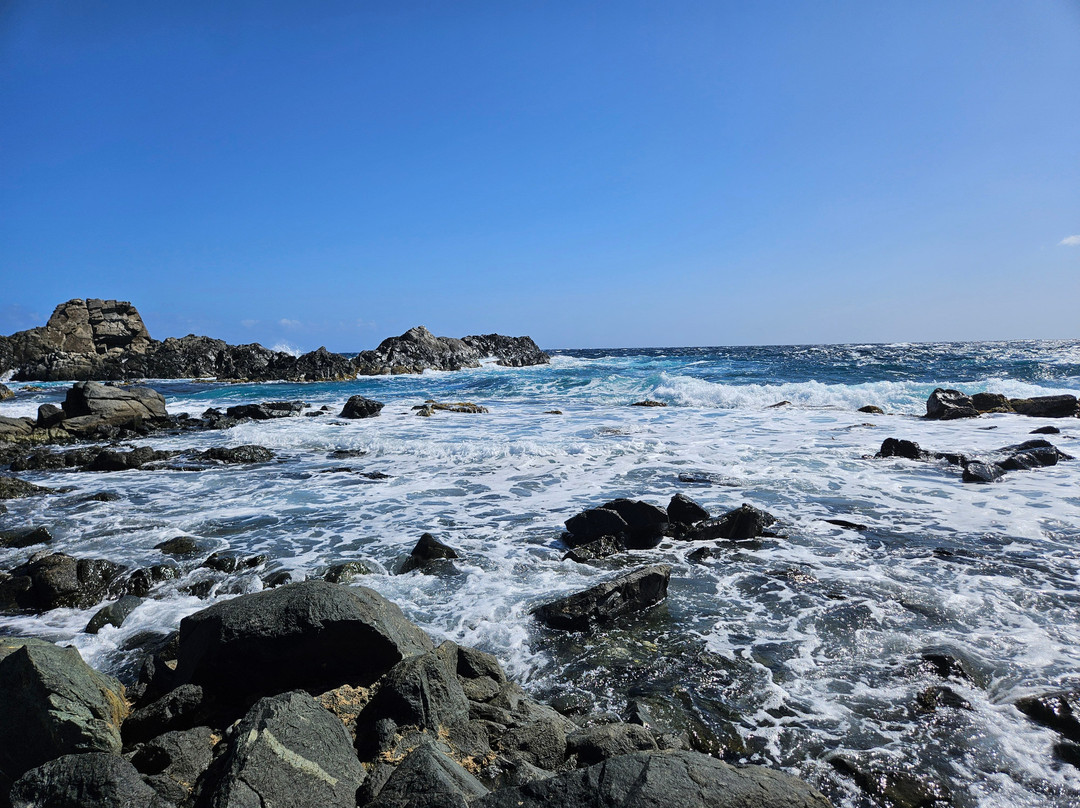 Rancho Loco-Santa Cruz必去景点