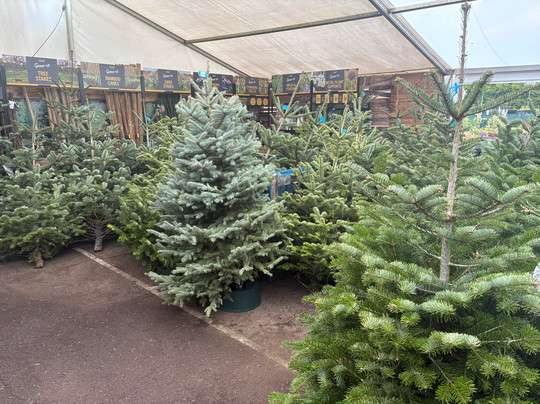 Cherry Tree Garden Centre And Cafe