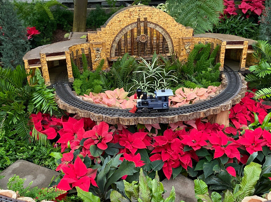 Krohn Conservatory-辛辛那提必去景点