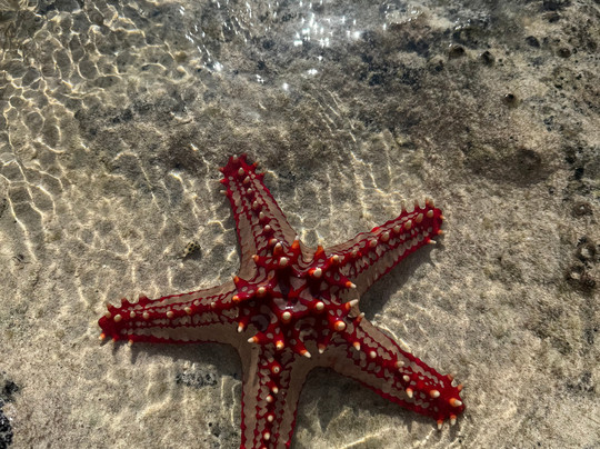 ANTONIO SAFARI KENYA-瓦塔木必去景点