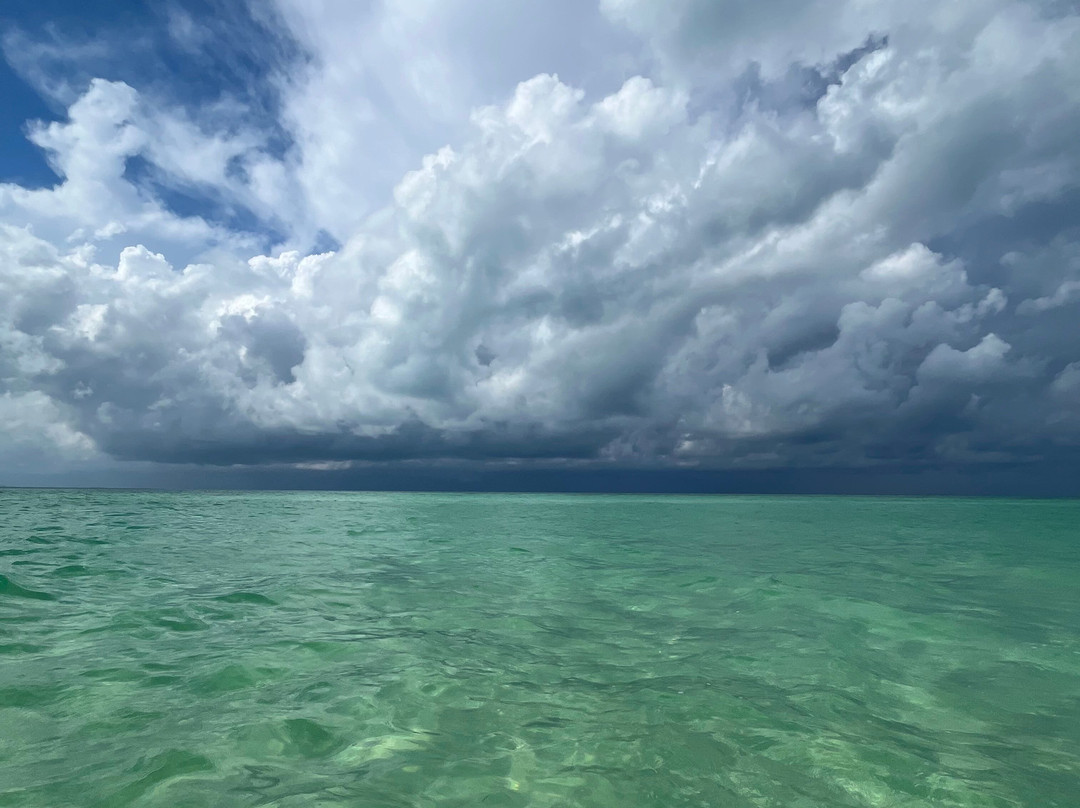 Cozumel Pearl Farm-考祖梅必去景点