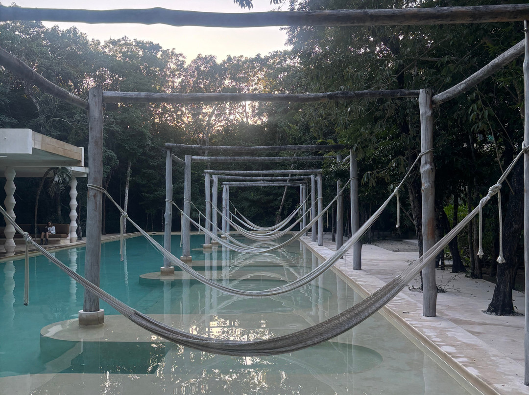 Hotel Holistika主图