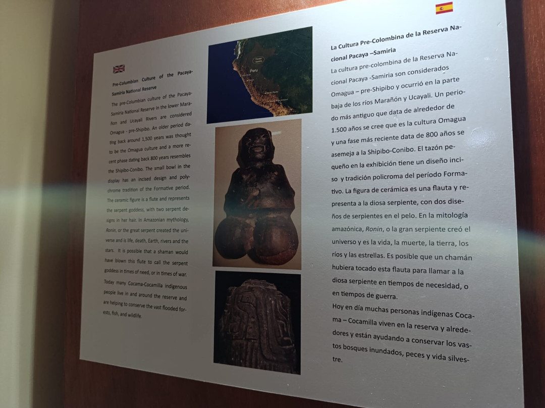 Museum of Indigenous Amazonian Cultures-伊基托斯必去景点