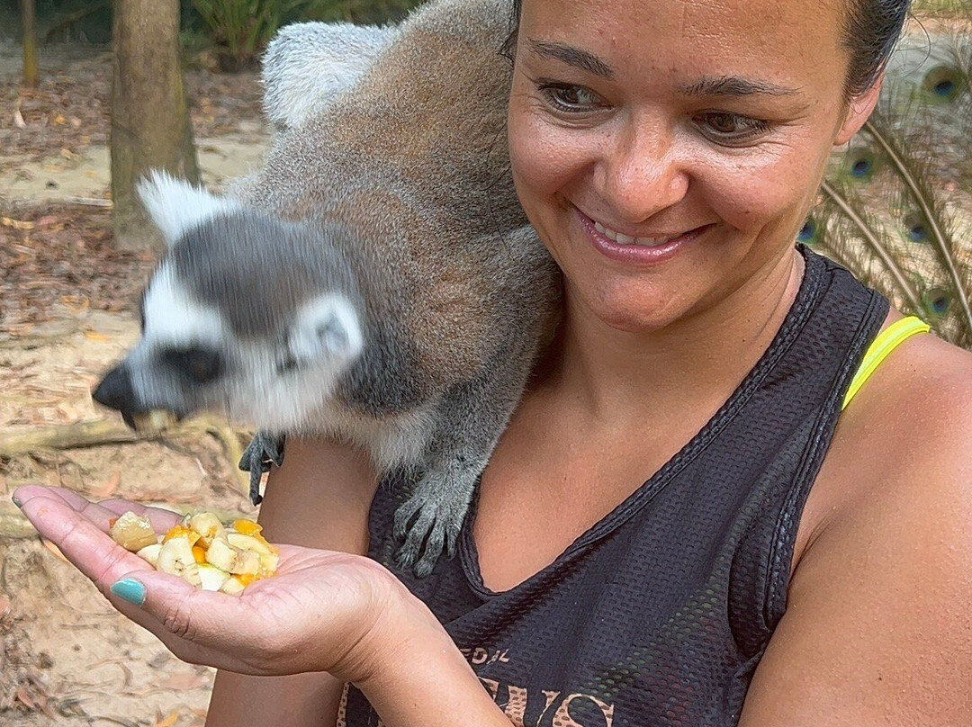 猎豹动物园-桑给巴尔岛必去景点
