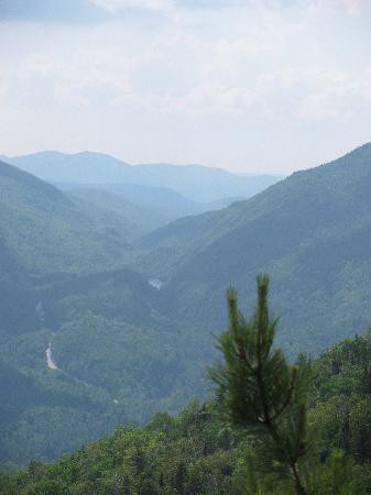 RoosterComb Inn主图