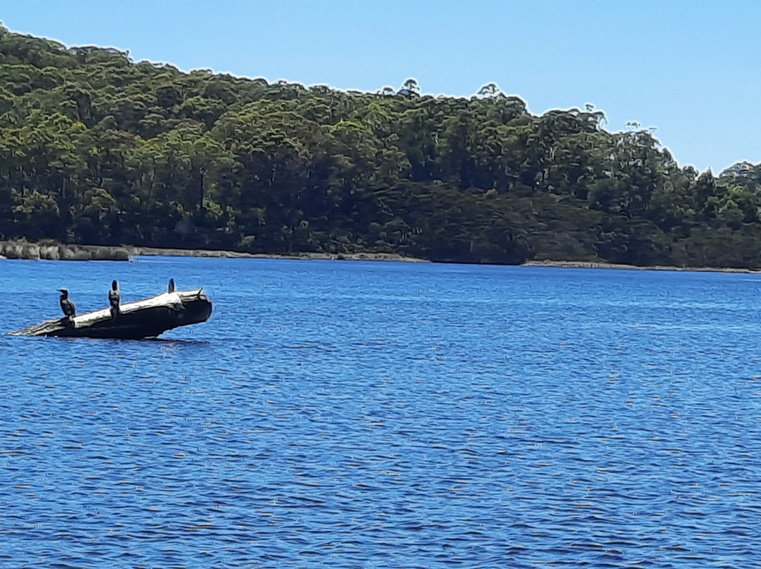 Leven River Cruises-Ulverstone必去景点