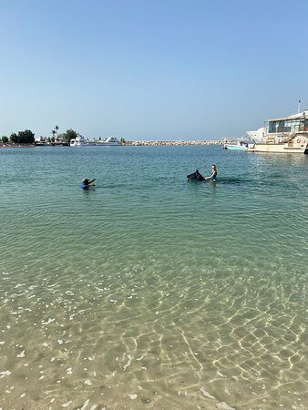 棕榈树水疗酒店主图