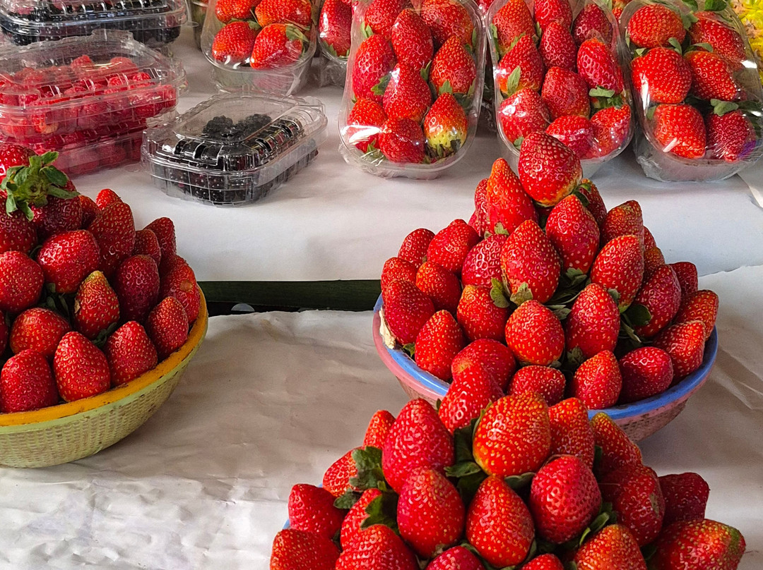 Souk El Had d'Agadir-阿加迪尔必去景点