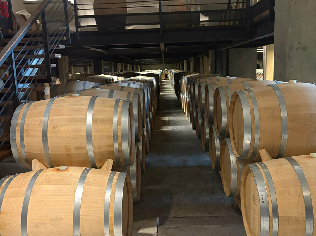 Feudi di San Gregorio-Sorbo Serpico必去景点