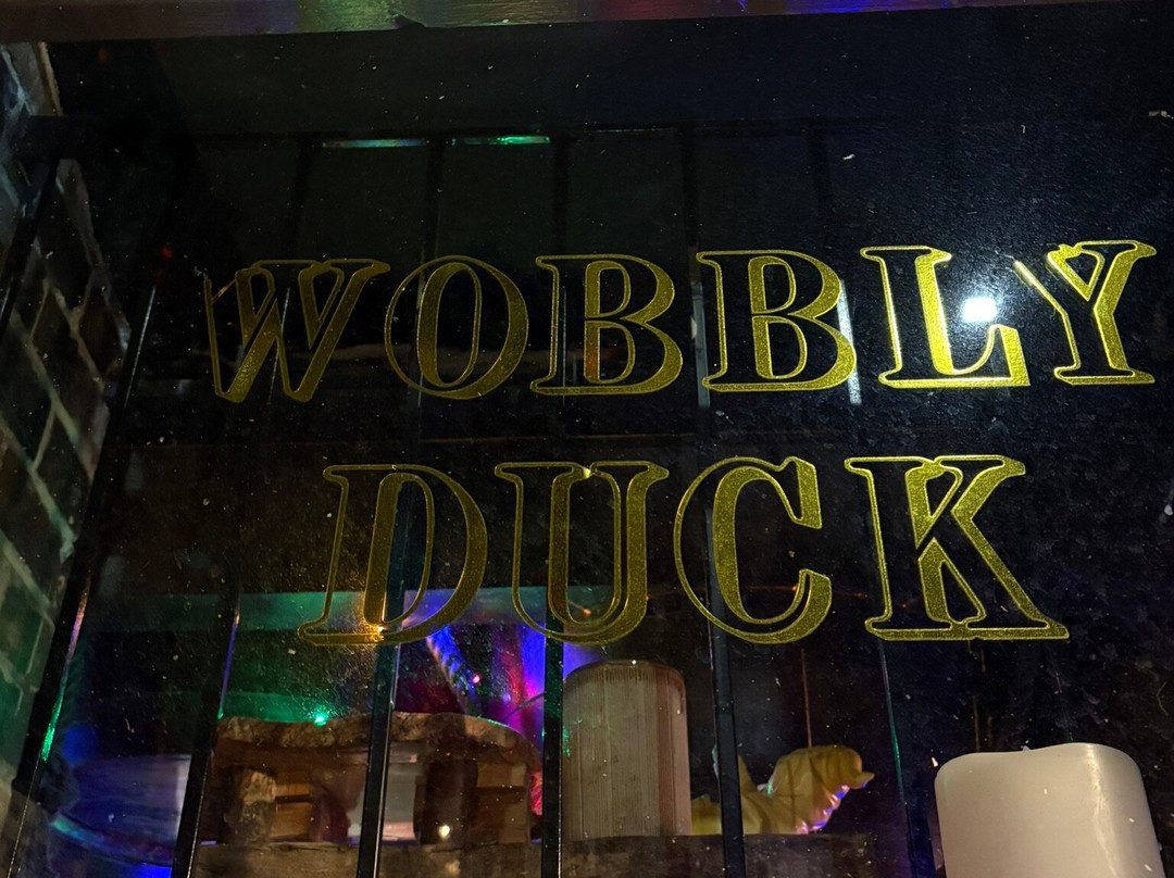 The Wobbly Duck-Heaton必去景点