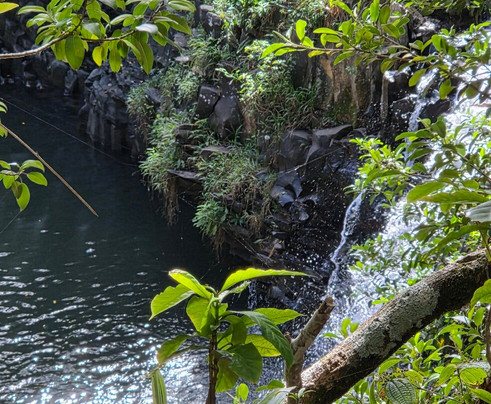 Exclusive Private Maui Tours & Transportation-毛伊岛必去景点