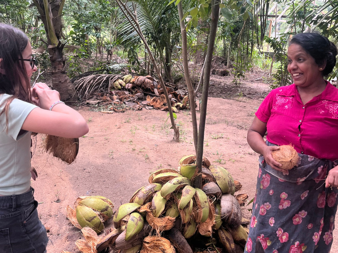 Prestige Travels-美蕊沙必去景点