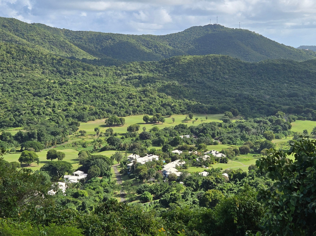 Carambola Zip Line-Frederiksted必去景点