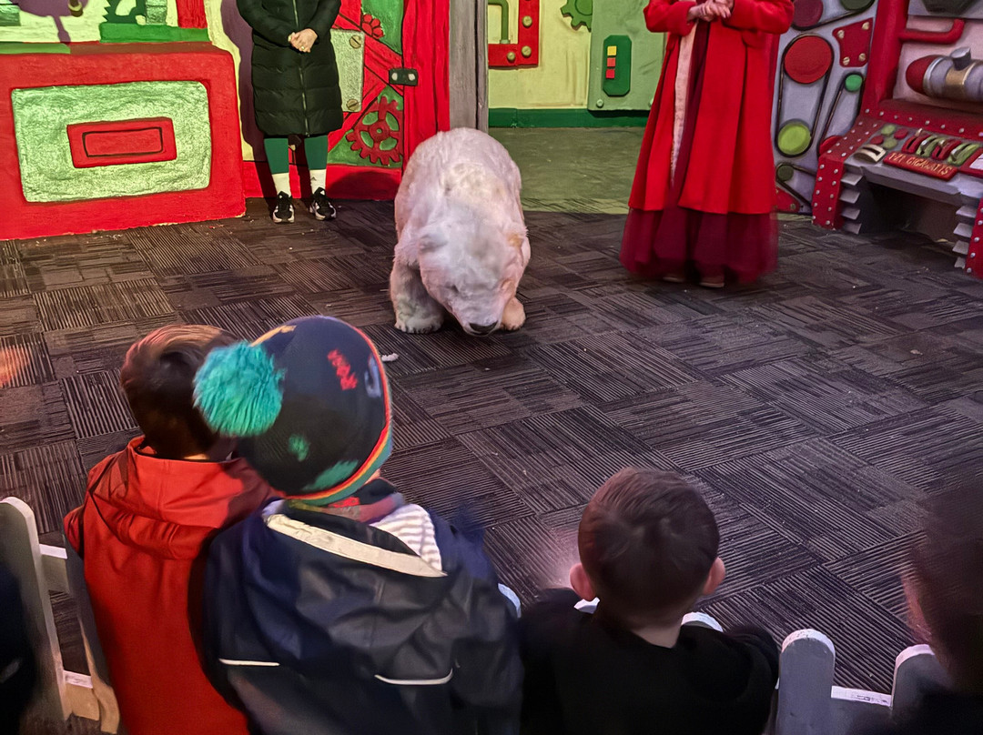 4 Kingdoms Adventure Park-纽伯里必去景点