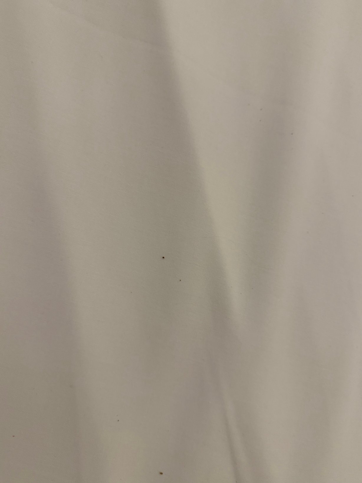 温德姆罗森海姆特莱普酒店-客卧