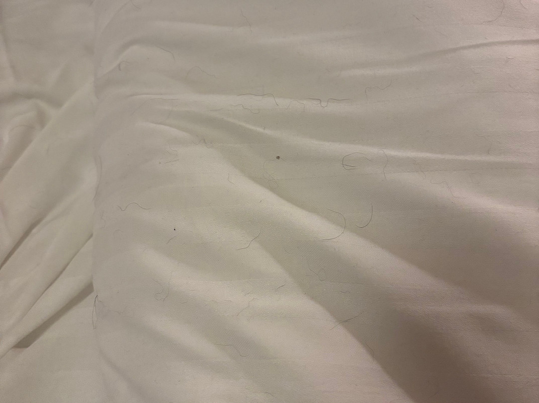 Sure Hotel By Best Western Radmannen主图