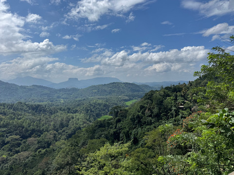 Ceylon Trailblazer Tours-尼甘布必去景点