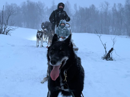 Into Nature-Meistervik必去景点