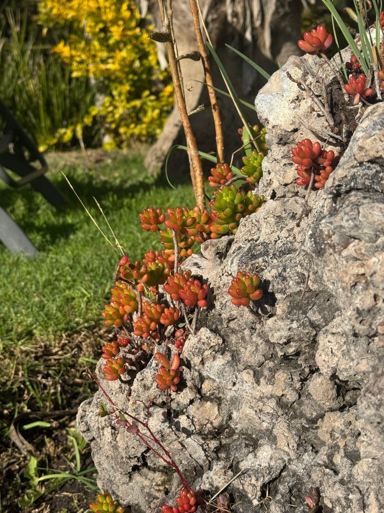 Nirvana Restaurant Retreat-官方